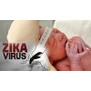 Bé gái 4 tuổi ở Long An nhiễm virus Zika