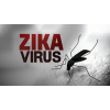 TP.HCM: 11 quận có người nhiễm virút Zika